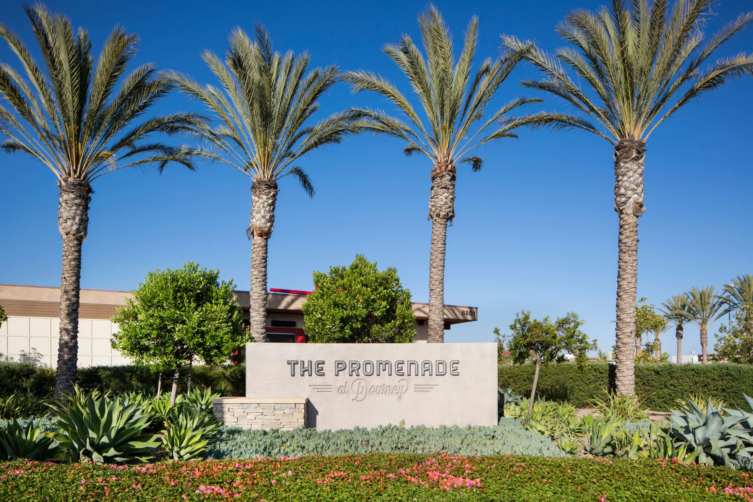 Promenade at Downey